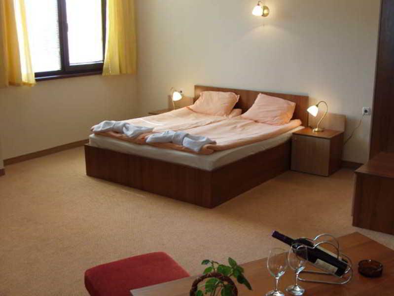 Bistrica Hotel Samokov Rum bild